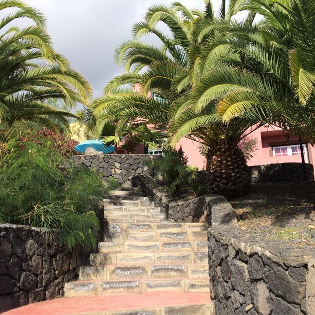 Appartementen Oasis San Antonio