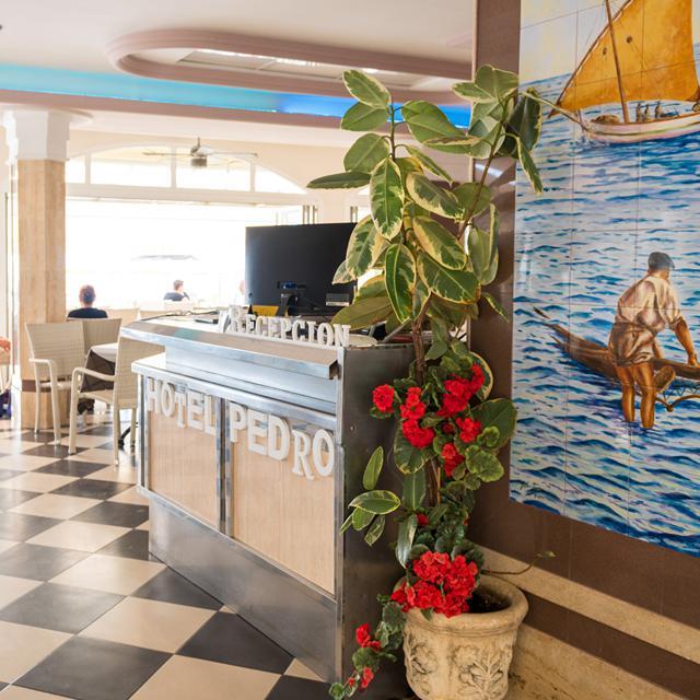 Hotel Pedro