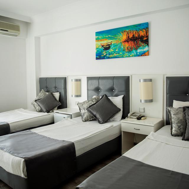 Hotel Halici