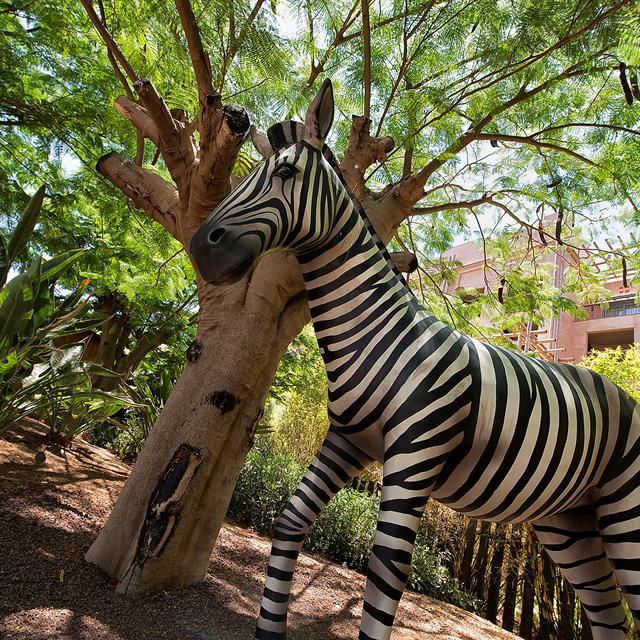 Hotel Lopesan Baobab Resort