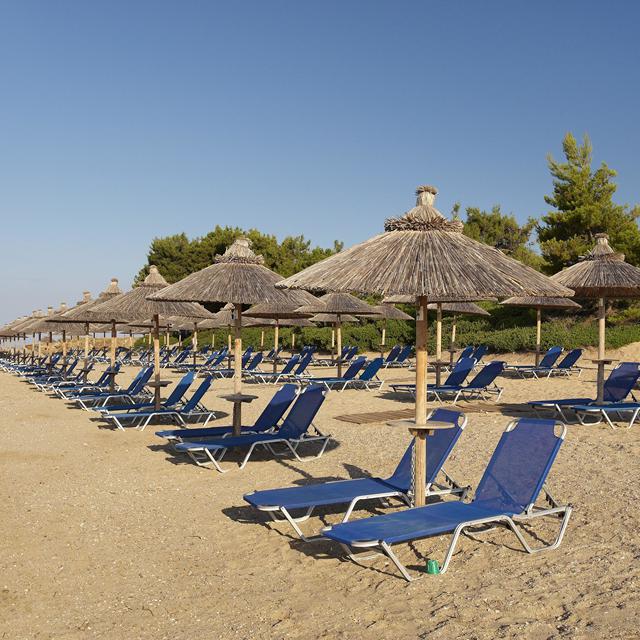 Hotel Blue Dolphin