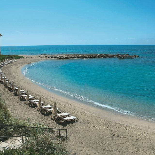 Alexander The Great Beach Hotel